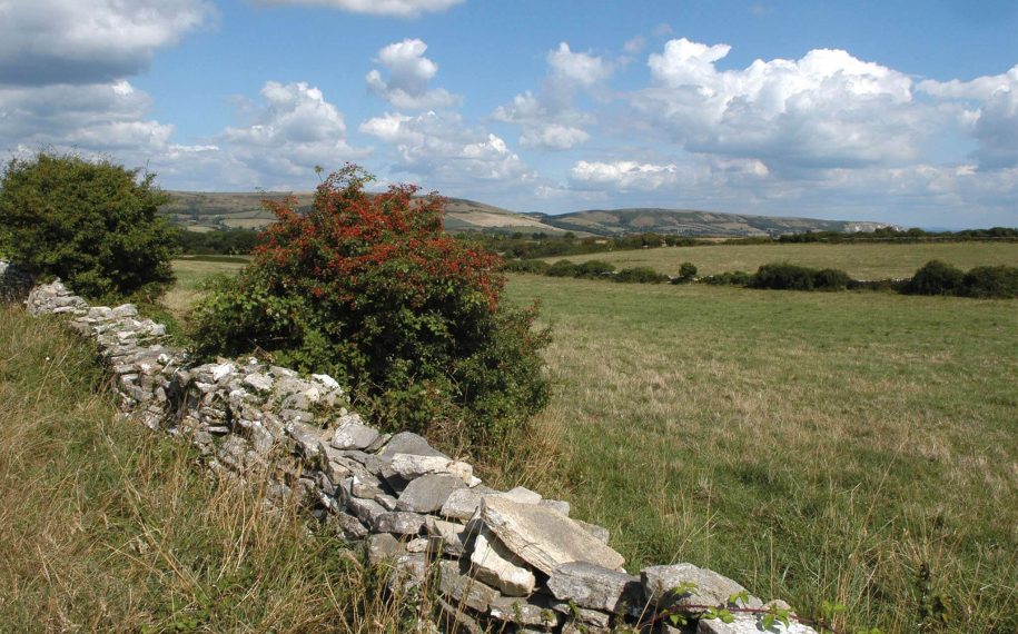 Try your hand at dry stone walling