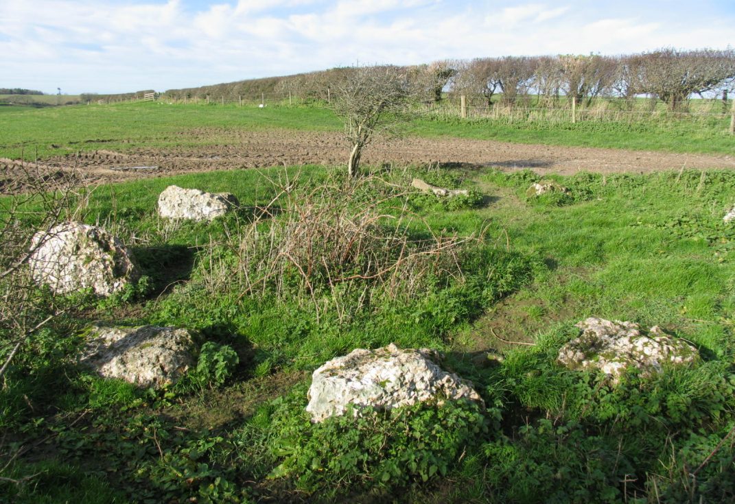 Hampton Down stone circle