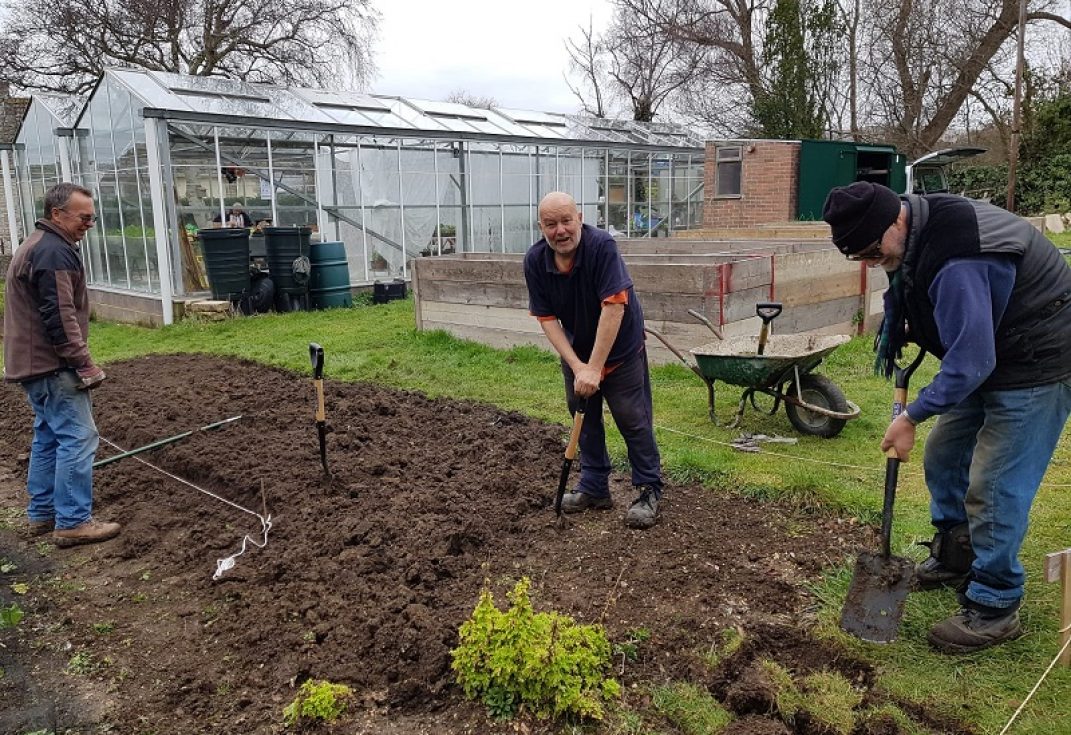 Group working the ground with shovels
