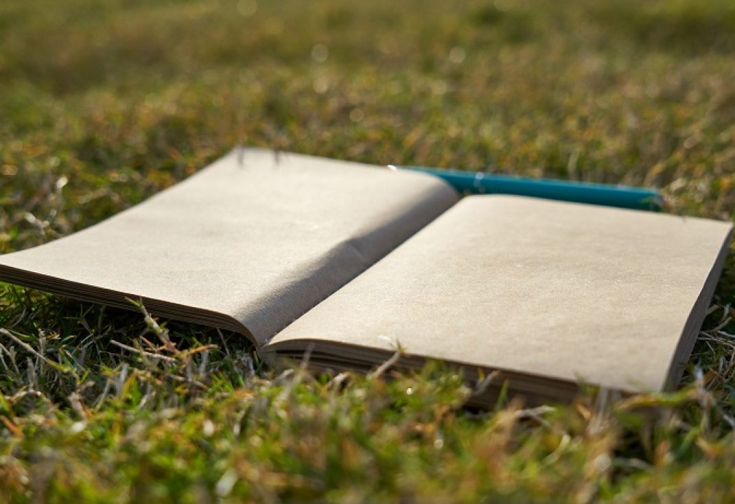 Activities to do outdoors, draw a picture, write a poem, create a story...