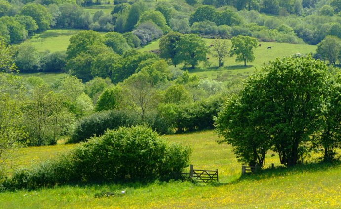 Kingcombe Centre taken by Mark Heighes