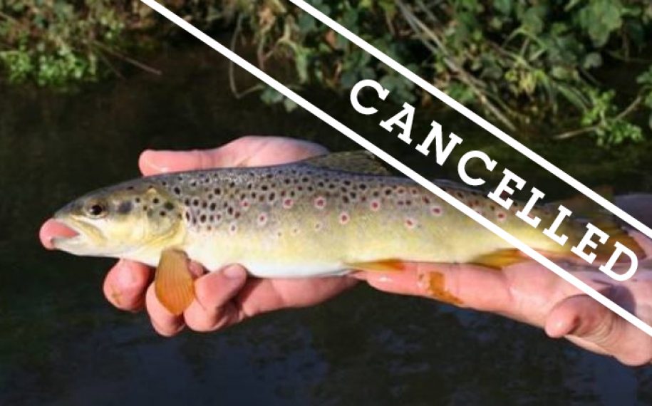 Drop in: River Detectives September 2019 CANCELLED