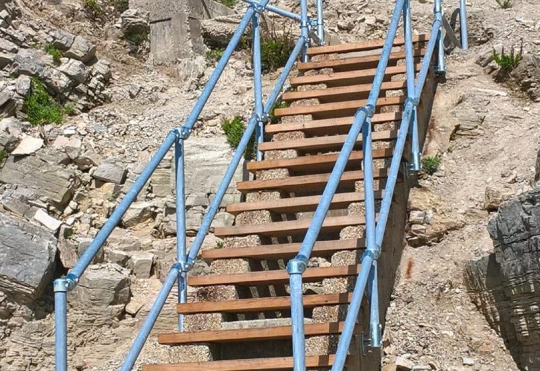 Fossil Forest steps – after
