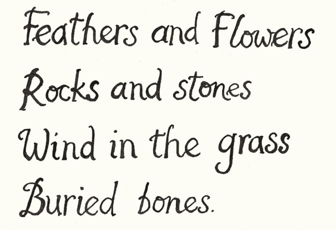 featherandlowers