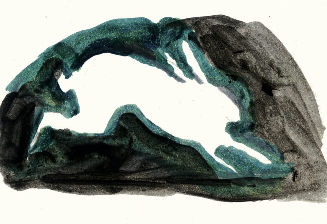 White Hare of Dorset illustration by Anna Skeels
