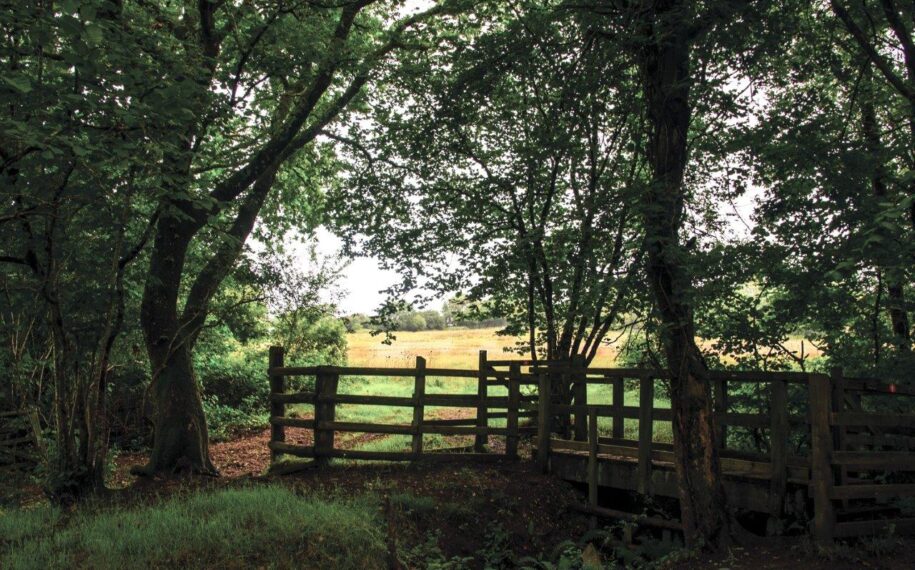 Kingcombe Meadows and Centre