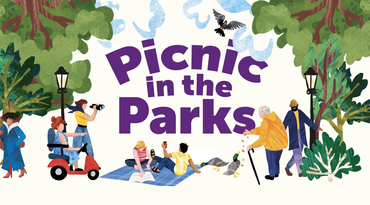 Blog 12 – Picnic in the Parks is moving to an exciting new platform