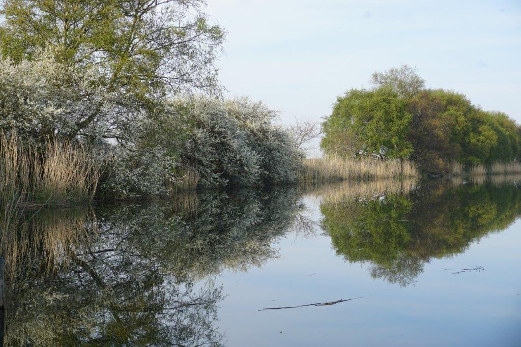 Dorset National Landscape | Evening along the riverbank