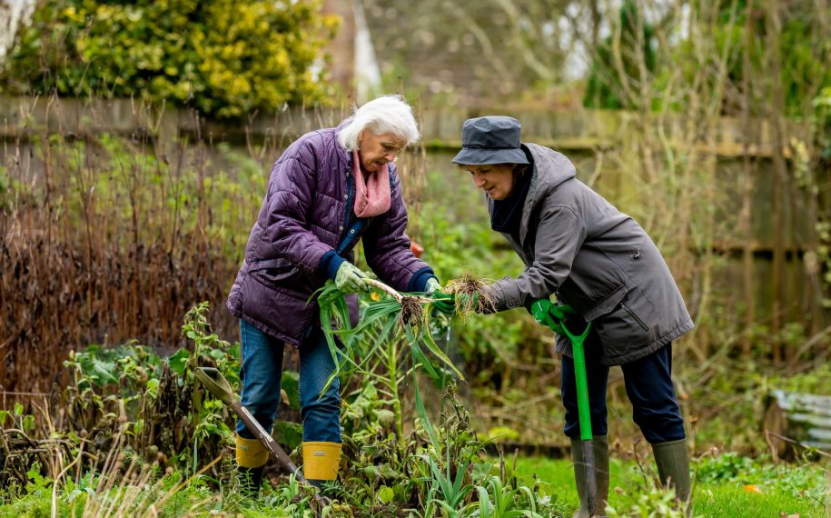 £50K awarded to enhance social prescribing to nature, arts and physical activities in Dorset