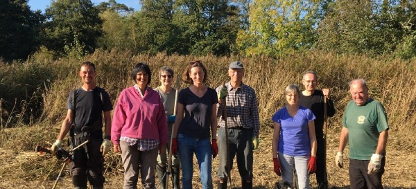‘Pymore Reedbed SNCI Priority Habitat Project’ – Pymore conservation volunteers