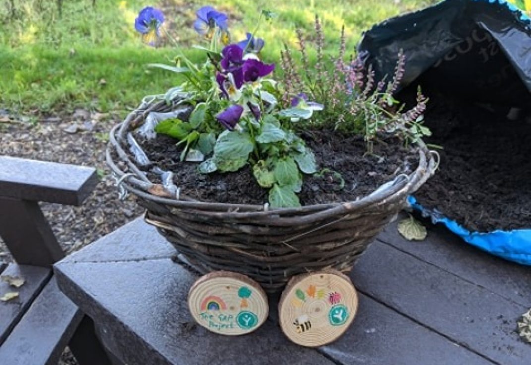 Hanging Basket with flowers