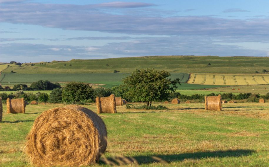 Farming in Protected Landscapes programme