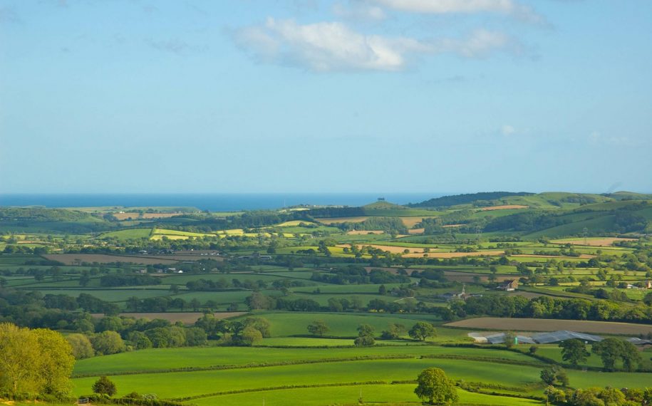 Exciting opportunities with the Dorset AONB
