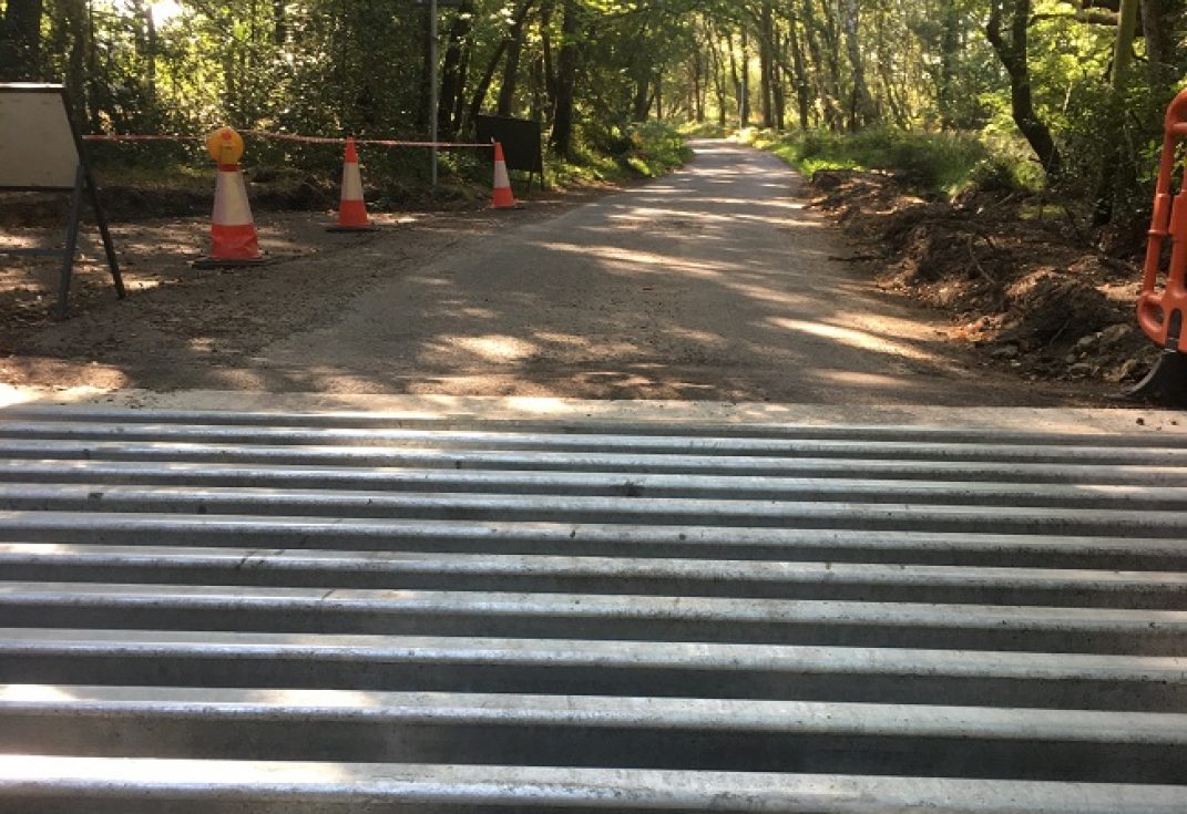 New cattle grid in the foreground with a rough track running through summer woodland beyond