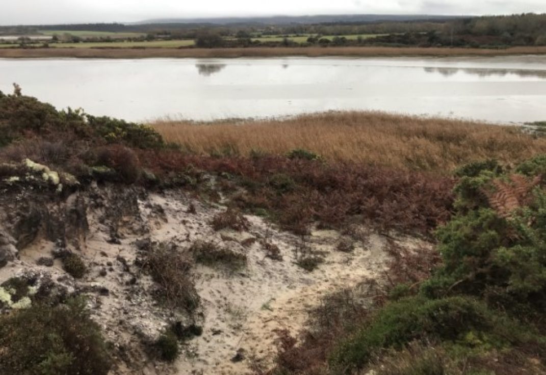 Heath and marshland dropping down towards the calm waters of a lagoon with a wide landscape of fields and woods in the distance