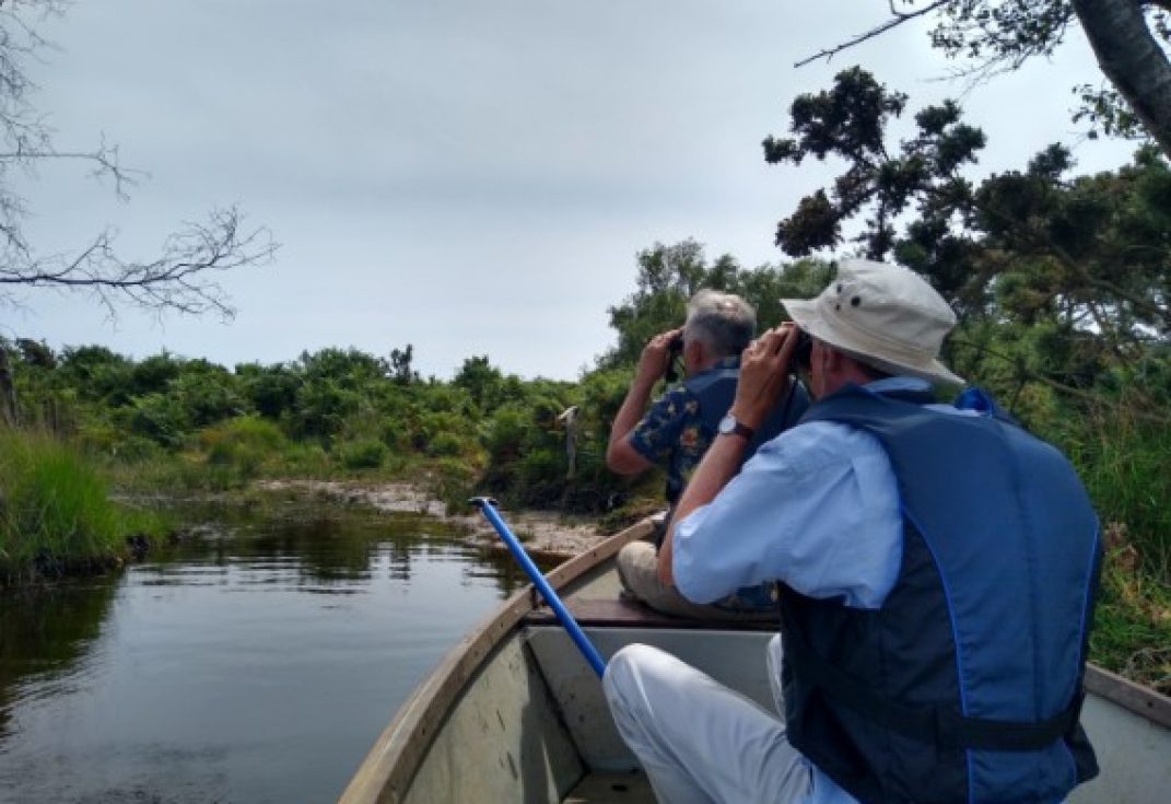 Two older men looking through binoculars sitting on a rowing boat in a slow moving river with shrubs and bushes on the riverbanks