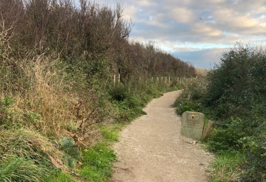 Sandy footpath between undergrowth and small winter trees with a shingle beach in the distance