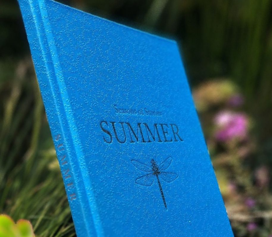 Book and Audiobook of ‘Seasons of Stories: Summer’