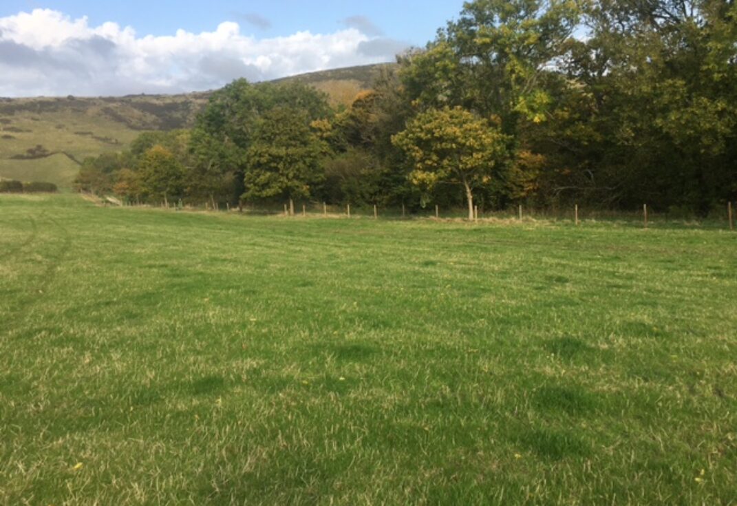 A green field with early Autumn wood and hills in the background