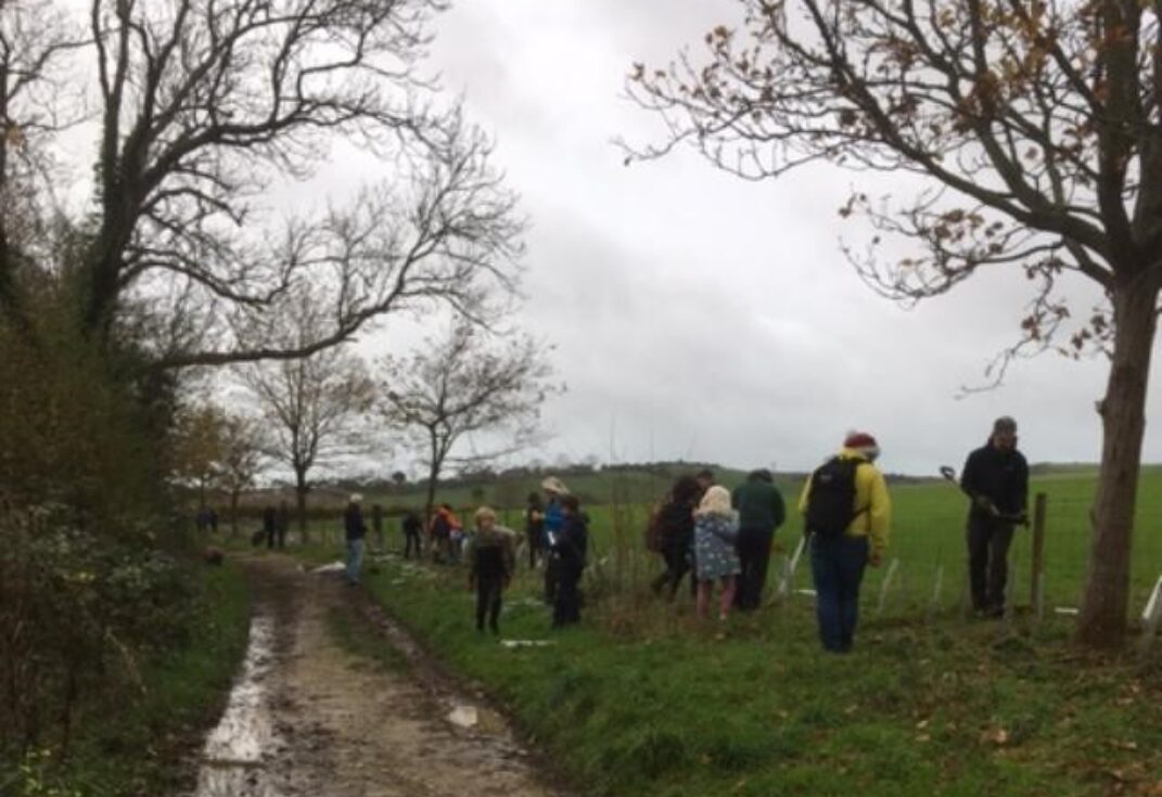 People planting a new hedge next to a muddy track and winter trees