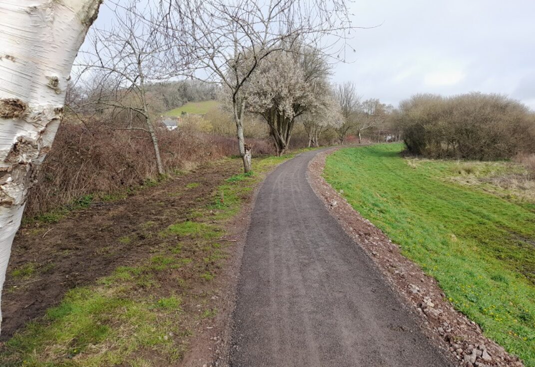 A narrow road with hedges and winter trees on one side and grass and bushes on the other