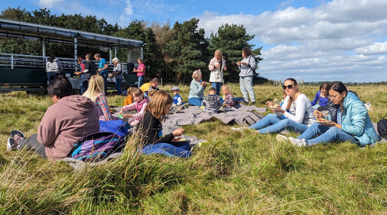 Picnic for Ukraine families on a visit to Middlebere Farm. Children and families sit on picnic blankets in a wide flat field, eating lunch, looking at the view of Poole Harbour. In the background is a farm trailer.
