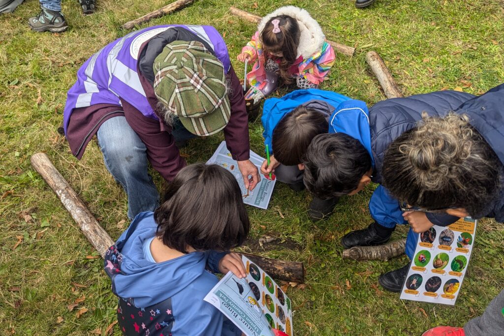 A group of children and two adults crouch on the grass during an outdoor activity, examining nature worksheets and looking closely at the ground. The children hold colourful identification sheets while the adults guide them. Wooden branches lie around them on the grass.