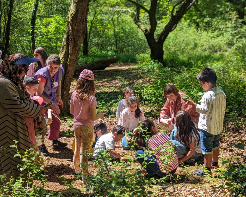 Exploring nature- Thorncombe Woods