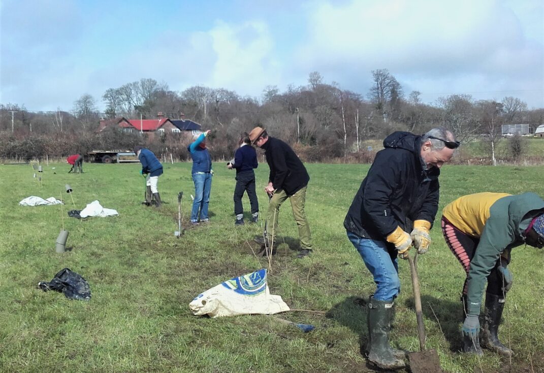 A group of people planting trees in a field with winter woods in the background