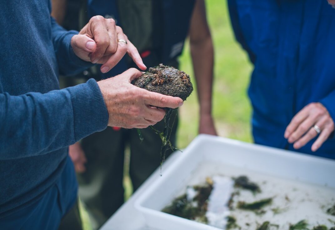 Examining stones found in a river