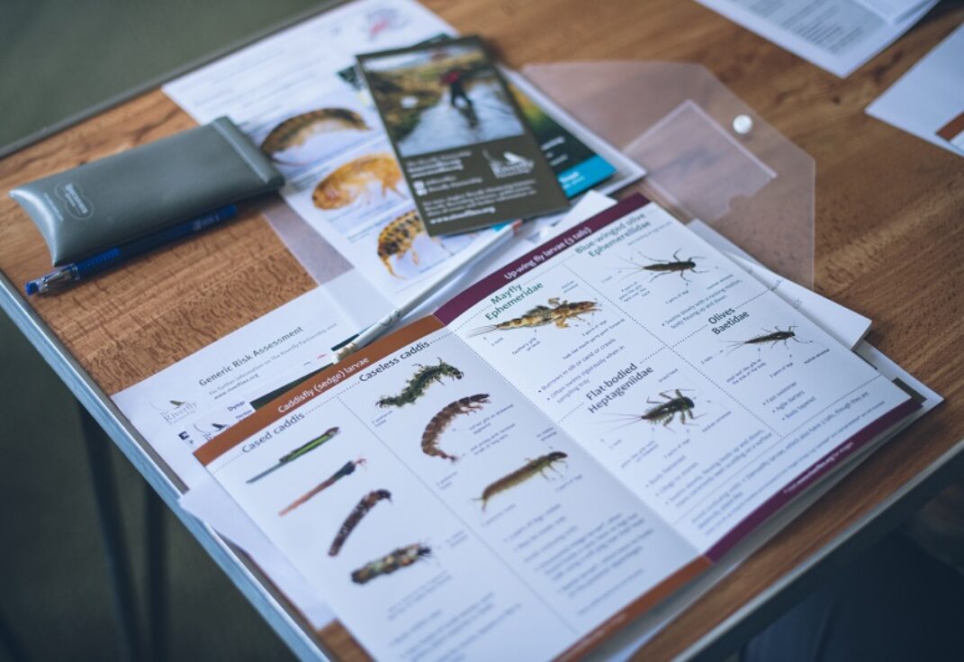 ID leaflets on a desk showing insects you'd find when river dipping displayed on a table.