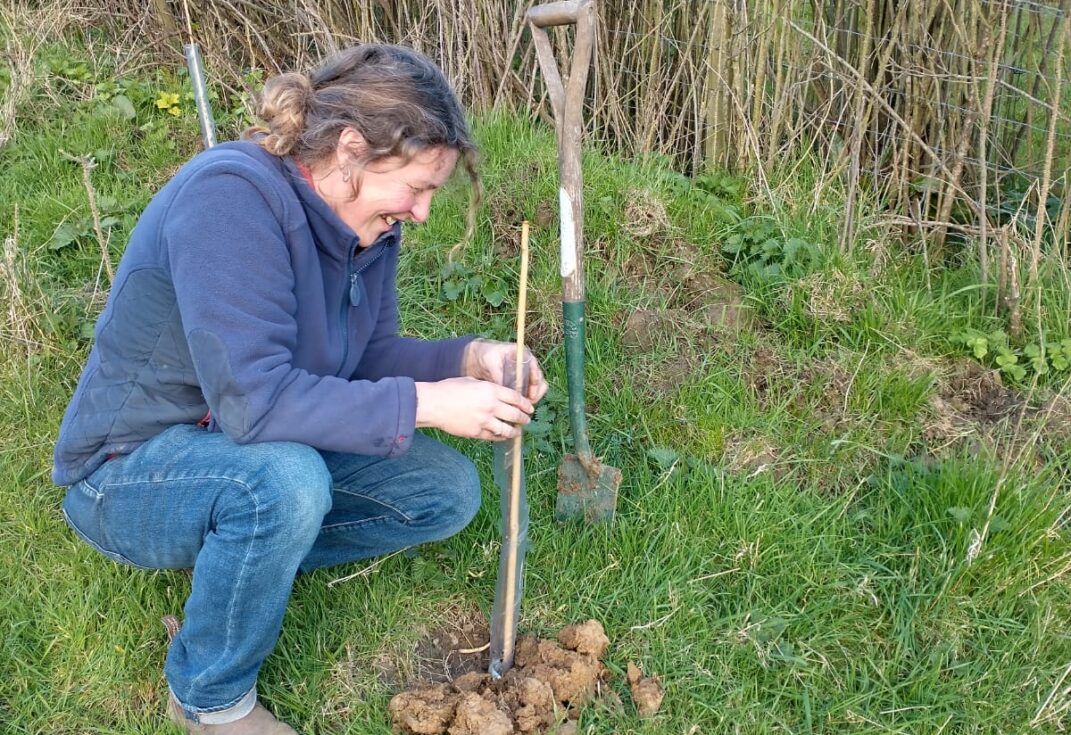 Lady crouched down planting a sapling in a field