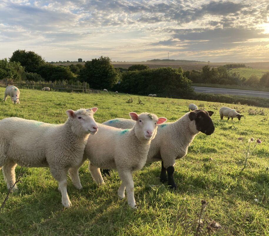 Valley to Market Trail food heritage