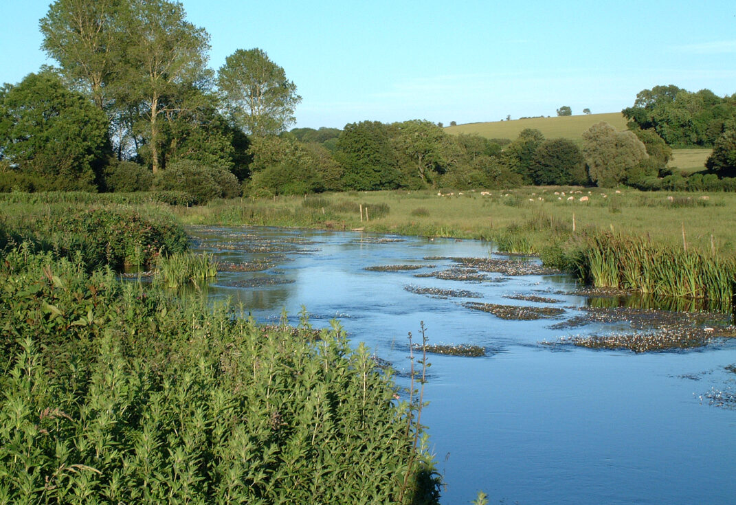 A slow wide river running through the photo with flat grassy fields to one side.