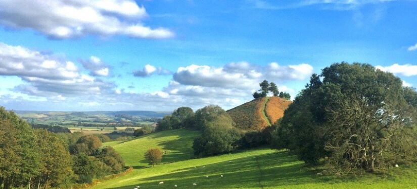 Dorset National Landscape Annual Forum in Bridport