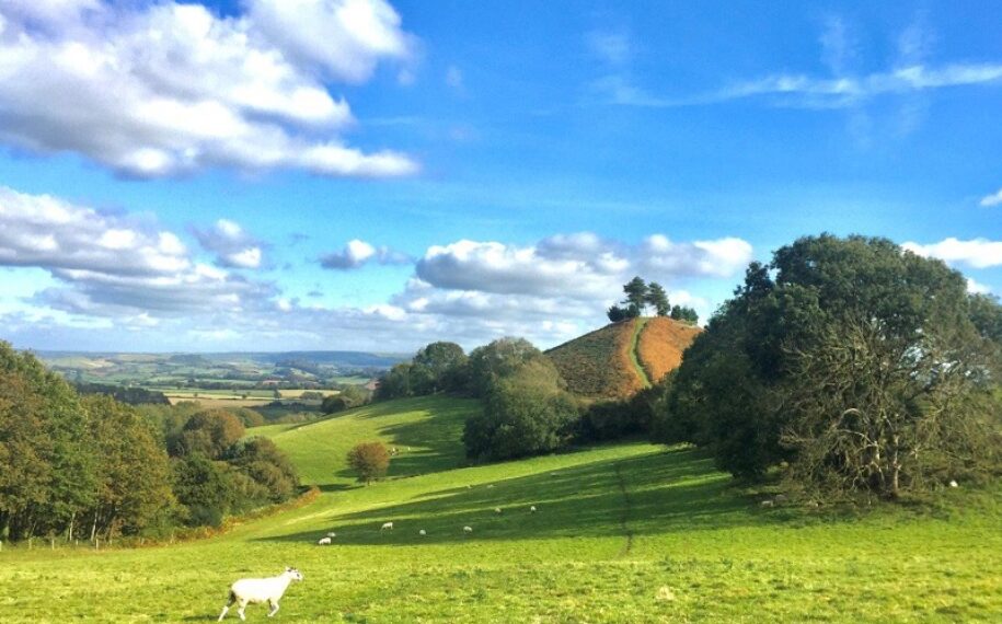 Dorset National Landscape Annual Forum in Bridport