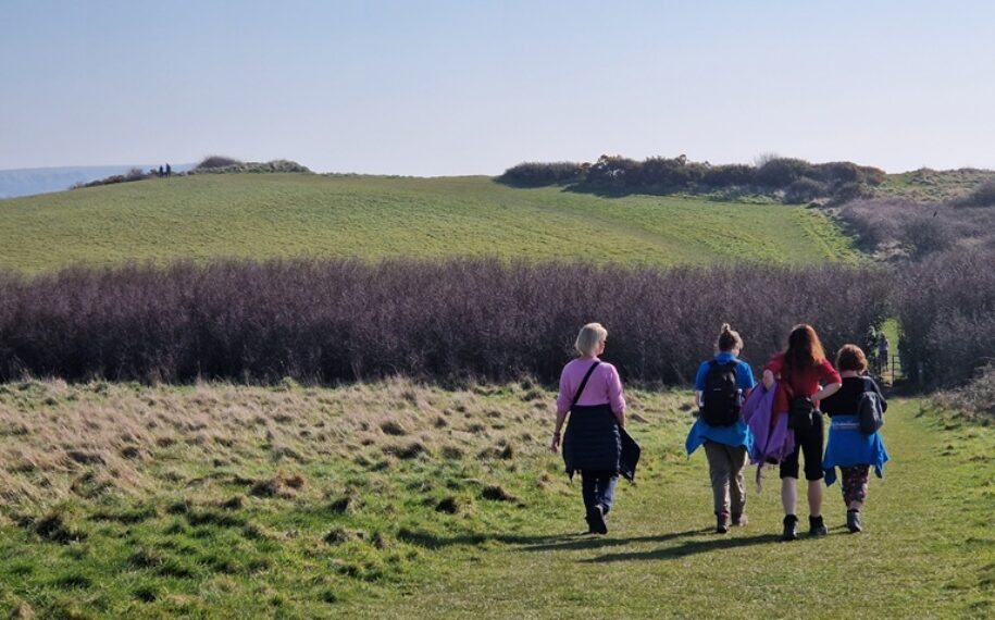 A group of walkers strolling through fields towards a gate in a high hedge