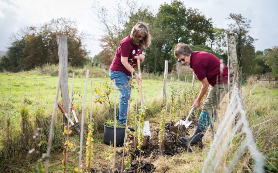 Two women planting trees in a field
