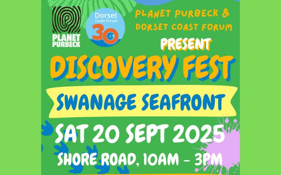 Discovery Fest – a vibrant celebration of community, nature & coastal life