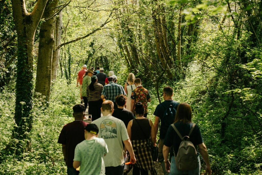 A group of people walking through woodland with sunshine falling on cow parsley