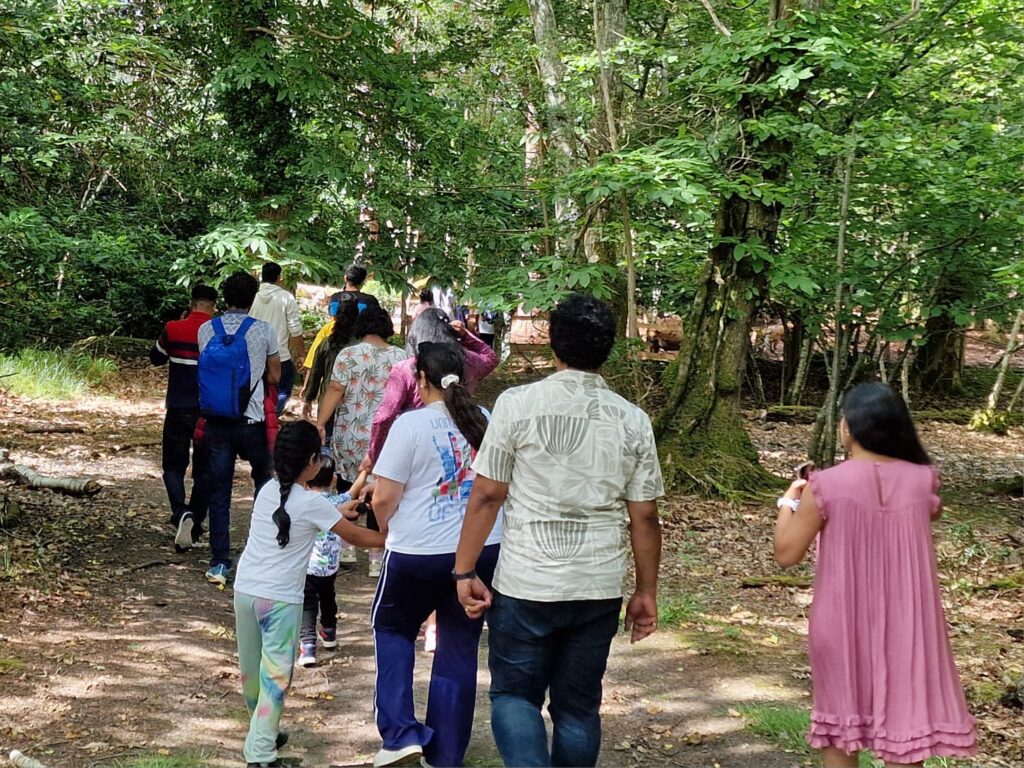 A group walks together along a woodland trail surrounded by tall trees and thick leafy vegetation.