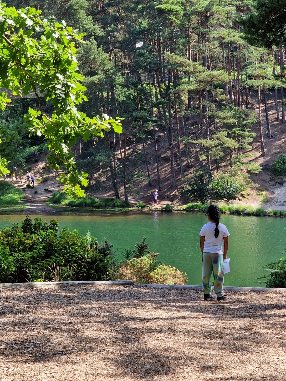 A person stands on a shaded path overlooking a green lake, with tall trees rising on the opposite bank. Sunlight filters through leaves above.
