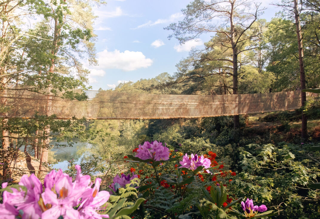 A rope bridge suspended over a blue pool with pink flowers in the foreground