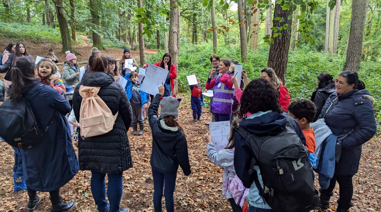 A group of adults and children stand in a wooded area surrounded by tall trees and green foliage, taking part in an outdoor learning activity. Several participants hold up sheets of paper or drawings while gathered in a circle on a leaf-covered forest floor. The scene is set along a woodland path, with dense vegetation and natural light filtering through the trees.