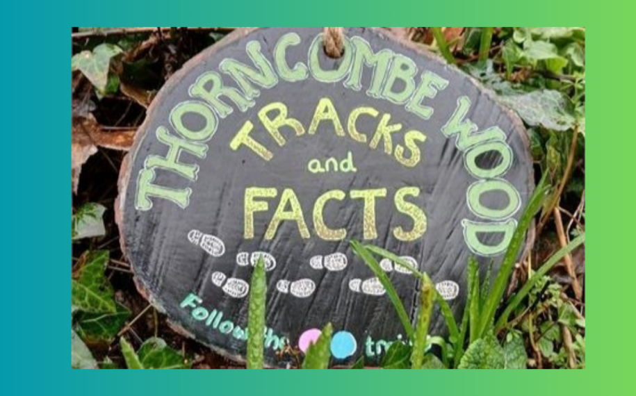 Half Term Adventures in Dorset’s National Landscapes