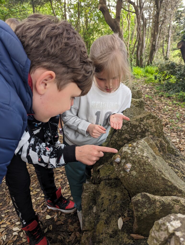Two children examine snails on a mossy stone wall in a wooded area. One child points at the snails while the other holds out a hand, with trees and leaves surrounding them.