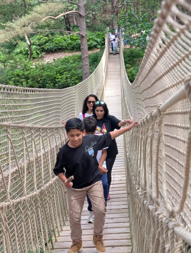 A group crossing a long rope suspension bridge in a forest, with one child walking ahead and others following behind.