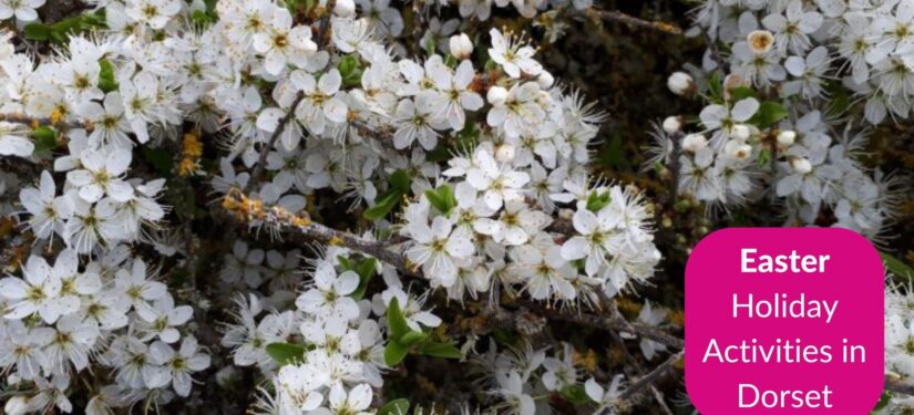 What’s on for Easter in Dorset