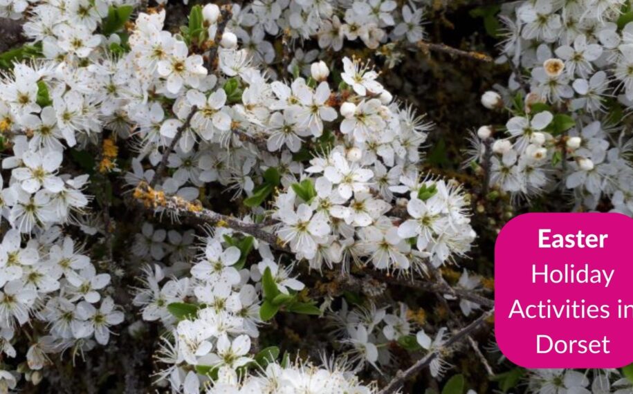 What’s on for Easter in Dorset