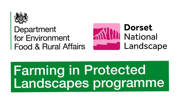 xr:d:DAFQx_1smg4:11,j:4546790802320536751,t:23102405